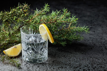 Gin , tonic with slices of lemon and a sprig of juniper .