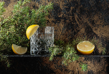 Gin , tonic with slices of lemon and a sprig of juniper .