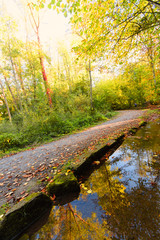 Schönheit des Herbstes, Spätsommer, Indian Summer, wundervolle Farben im Wald, Spiegelung in...