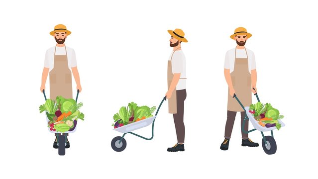 Farmer or agricultural worker pulling wheelbarrow full of gathered crops. Male cartoon character isolated on white background. Front, back and side views. Colorful vector illustration in flat style.