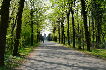 Viale del cimitero a Crespi d'Adda