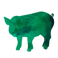 vector, watercolor silhouette of a pig