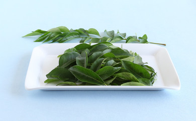 Curry leaves, plucked from their twigs, on a white ceramic tray, and curry leaves twig.