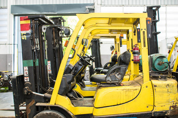 Forklifts in warehouse