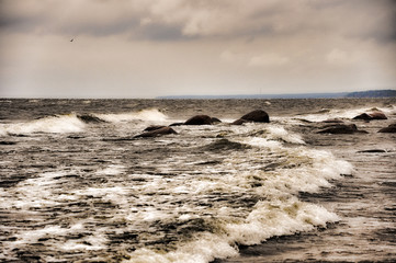 Gale at the seaside