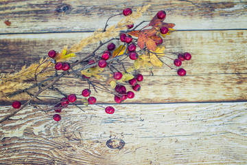 Berries and dry grass on a wooden background.
