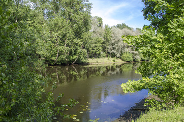 Quiet river with large trees on the banks