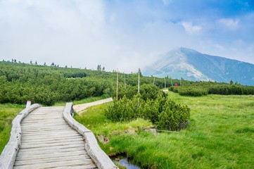 majestic mountain in the background