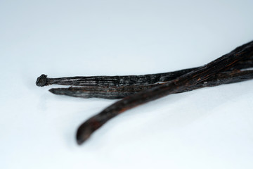 The vanilla is a spice that comes from the fermented capsule fruits
