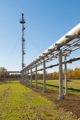 Torch system on a gas field