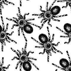 Seamless vector pattern with hand drawn tarantula spiders.