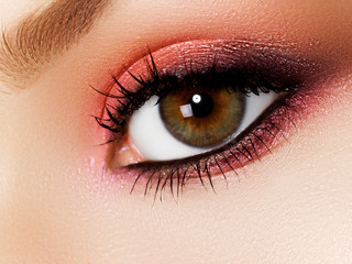 Obraz premium Beautiful macro shot of female eye with extreme long eyelashes and black liner makeup. Perfect shape makeup and long lashes. Cosmetics and makeup. Closeup macro shot of fashion eyes visage