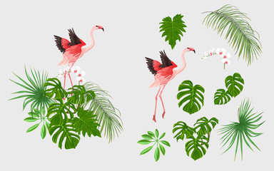 Set of elements for design with tropical plants