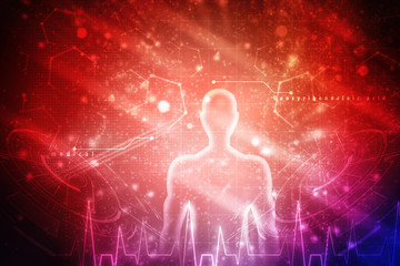 2d illustration Human Male Muscle Body