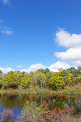 秋の志賀高原（一沼）