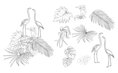 Set of elements for design with tropical plants