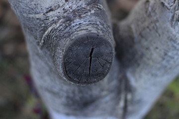 Naklejka premium metal, isolated, water, steel, white, tool, old, nature, macro, closeup, tree