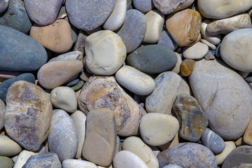  Beautiful large multi-colored pebbles.background of stones.