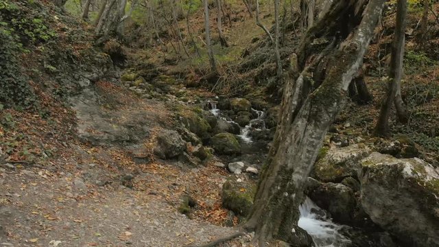 Beautiful unique Bigar Waterfall in Romania