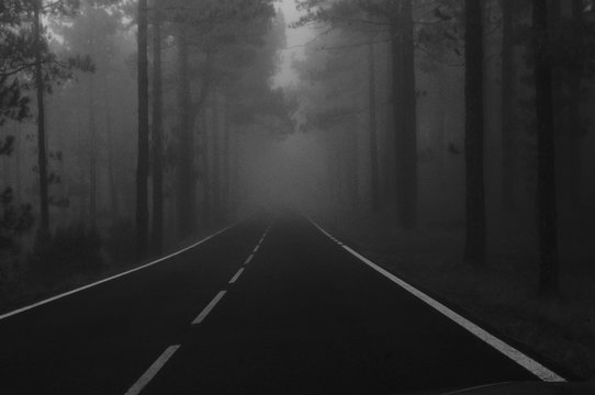 Tinieblas Images – Browse 185 Stock Photos, Vectors, and Video | Adobe