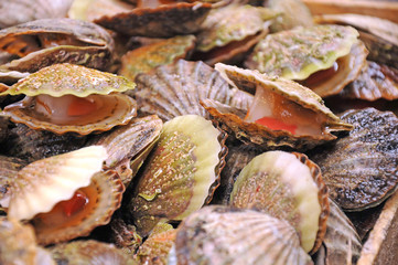 Oysters In Marketplace