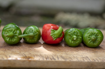 Capsicum annuum Jalapeno chilli hot peppers, group of green and red fruits on wooden cutting board