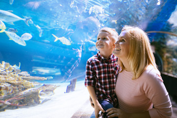 Mother and son watching sea life in oceanarium