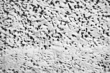 Detailed imperfect white texture of aerated foam block with holes close-up. Side of building is painted whitish. Background of construction from foamed material in macro. Decorative facing of house.