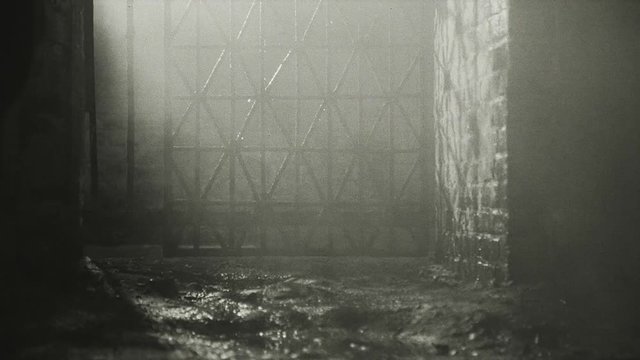 Inside a communist prison between 1948-1989. Political and criminal prisoners. The guards maintain discipline. Incarceration in a communist prison involve psychological punishment.