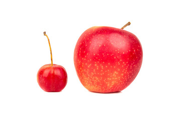 Big and small apple