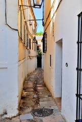 Cordoba street.