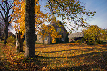 Colourful autumn landscape with the house