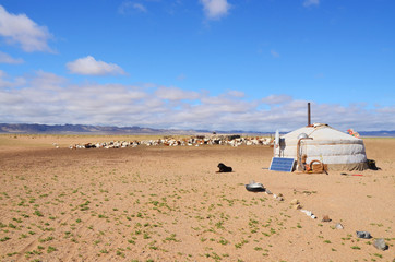Yurt Village in the Desert Gobi of Mongolia
