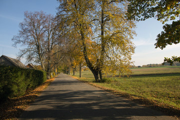 Rural autumn landscape