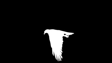 White silhouette of a flying eagle. Alpha channel. Alpha matte. FullHD.