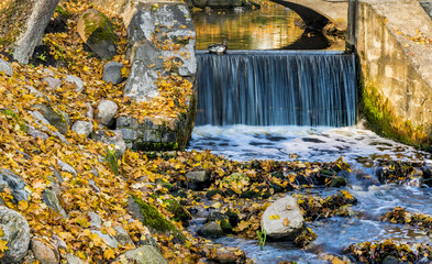 Waterfall in autumnal old public park, Europe