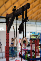 Equipment for Fitness and Gymnastic: Rings in Gym