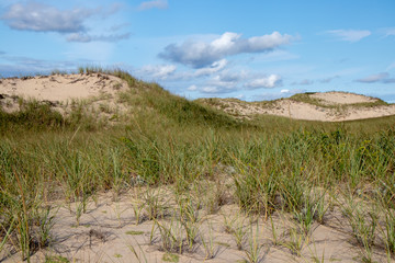 beach scene with dunes, grasses, sky and clouds