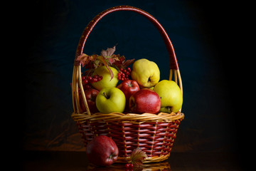 Wicker basket with autumn fruits of apples, quince and viburnum on a dark background. Beautiful autumn still life