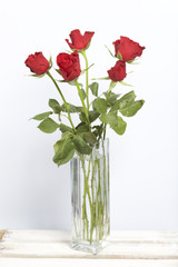 A bouquet of scarlet roses in a glass vase. Five flowers. On a white background