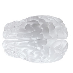 3d rendered medically accurate illustration of a glass brain