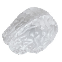 3d rendered medically accurate illustration of a glass brain