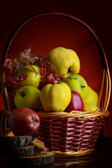 Wicker basket with autumn fruits of apples, quince and viburnum on a dark background. Beautiful autumn still life