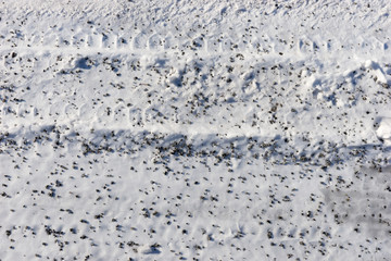 Snow with small pebbles on the street. Winter background