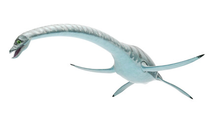 3d rendered illustration of styxosaurus