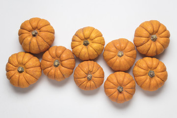 Mini munchkin pumpkin festive background