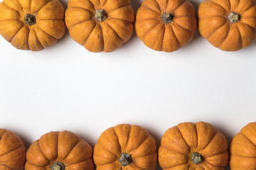 Mini munchkin pumpkin festive background