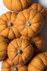 Mini munchkin pumpkin festive background