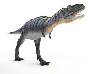 3d rendered illustration of a aucasaurus