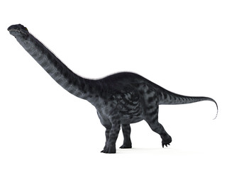3d rendered illustration of a apatosaurus